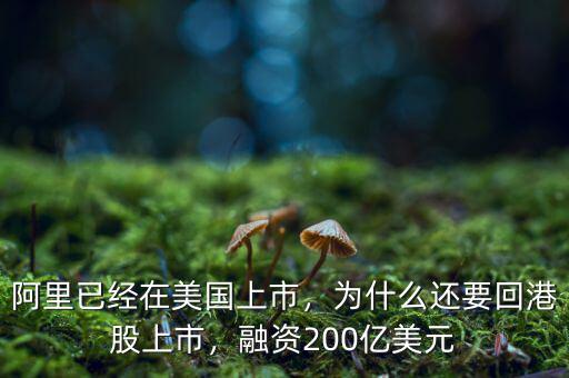 阿里已經(jīng)在美國上市，為什么還要回港股上市，融資200億美元