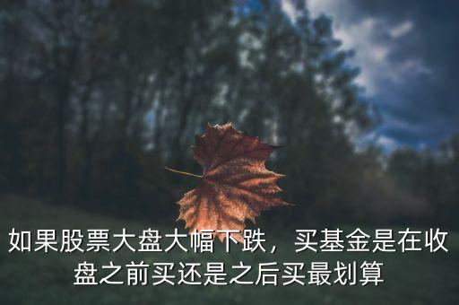 如果股票大盤大幅下跌，買基金是在收盤之前買還是之后買最劃算