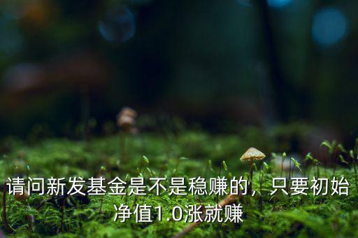 請問新發(fā)基金是不是穩(wěn)賺的，只要初始凈值1.0漲就賺