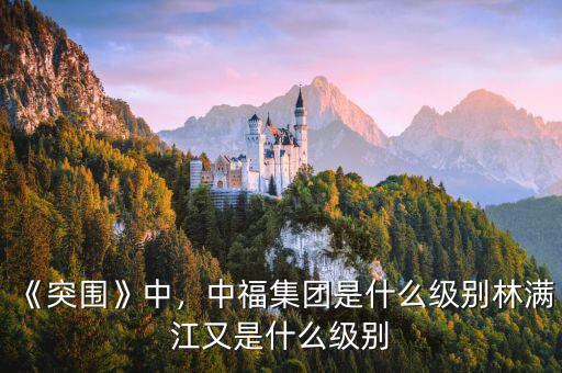 《突圍》中，中福集團是什么級別林滿江又是什么級別