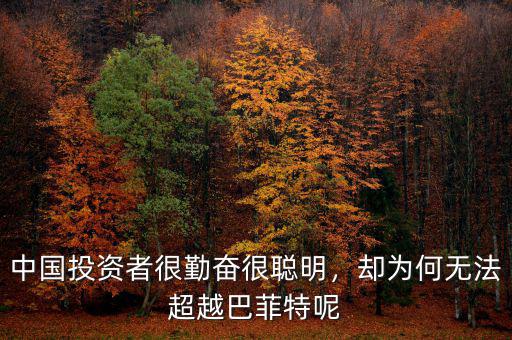 中國投資者很勤奮很聰明，卻為何無法超越巴菲特呢