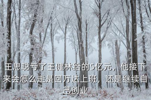 王思聰虧了王健林給的5億元，他接下來(lái)會(huì)怎么走是回萬(wàn)達(dá)上班，還是繼續(xù)自己創(chuàng)業(yè)