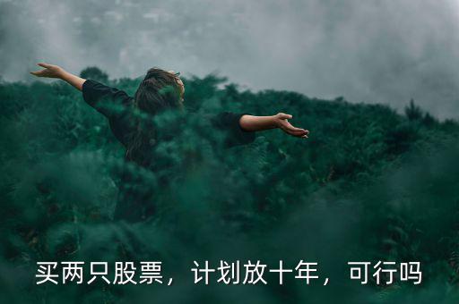 買兩只股票，計劃放十年，可行嗎