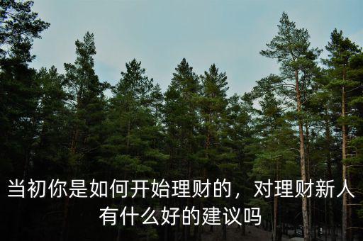 當(dāng)初你是如何開(kāi)始理財(cái)?shù)模瑢?duì)理財(cái)新人有什么好的建議嗎