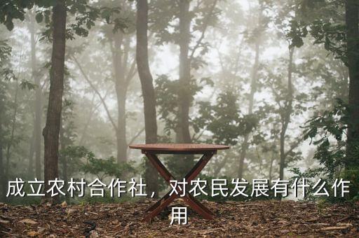 成立農(nóng)村合作社，對(duì)農(nóng)民發(fā)展有什么作用