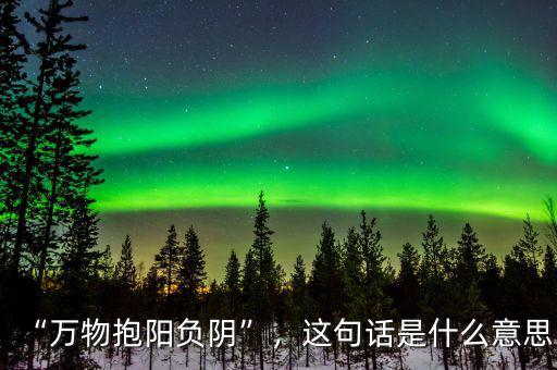 “萬(wàn)物抱陽(yáng)負(fù)陰”，這句話是什么意思
