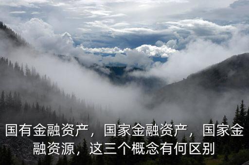 國(guó)有金融資產(chǎn)，國(guó)家金融資產(chǎn)，國(guó)家金融資源，這三個(gè)概念有何區(qū)別
