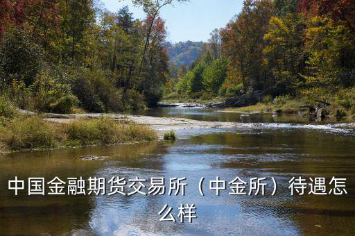 中國金融期貨交易所怎么樣,國內(nèi)期貨平臺(tái)哪家好