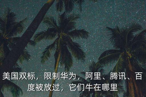 美國(guó)雙標(biāo)，限制華為，阿里、騰訊、百度被放過(guò)，它們牛在哪里