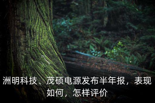 洲明科技、茂碩電源發(fā)布半年報(bào)，表現(xiàn)如何，怎樣評(píng)價(jià)