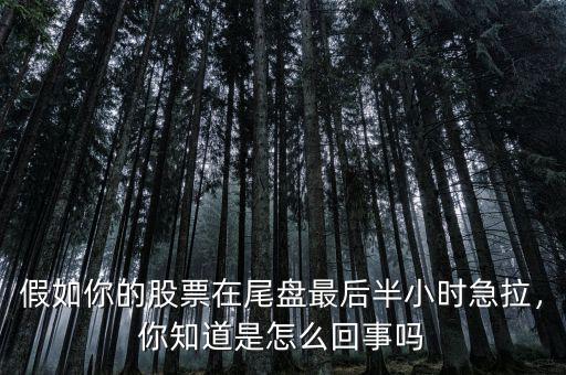 假如你的股票在尾盤最后半小時(shí)急拉，你知道是怎么回事嗎