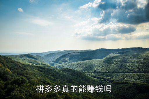 拼多多真的能賺錢(qián)嗎