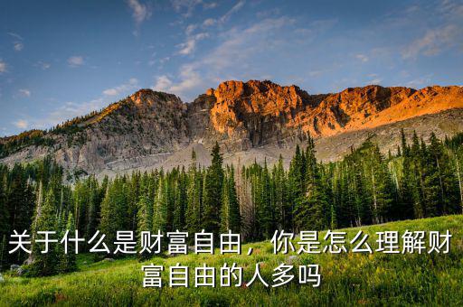 關(guān)于什么是財富自由，你是怎么理解財富自由的人多嗎