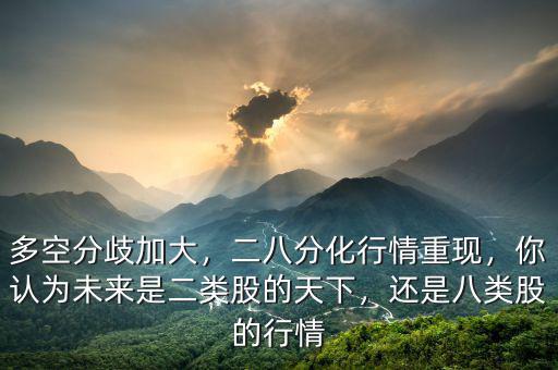 什么是二類(lèi)股,還是八類(lèi)股的行情