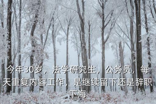 今年30歲，法學(xué)研究生，公務(wù)員，每天重復(fù)內(nèi)容工作，是繼續(xù)留下還是辭職下海