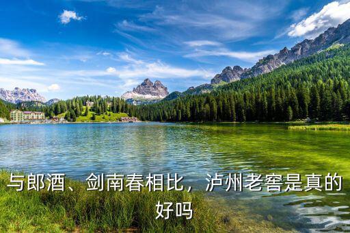 與郎酒、劍南春相比，瀘州老窖是真的好嗎