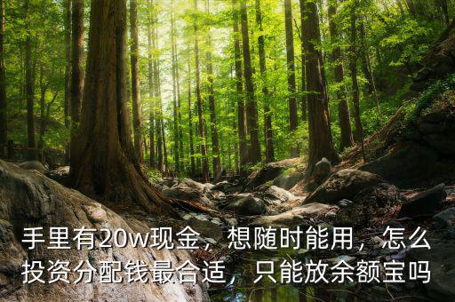 手里有20w現(xiàn)金，想隨時(shí)能用，怎么投資分配錢(qián)最合適，只能放余額寶嗎