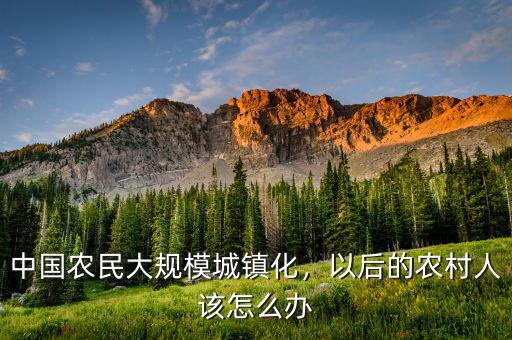 中國(guó)農(nóng)民大規(guī)模城鎮(zhèn)化，以后的農(nóng)村人該怎么辦