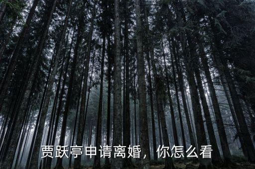 賈躍亭申請離婚，你怎么看