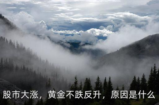 股市大漲，黃金不跌反升，原因是什么