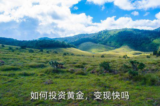 如何投資黃金，變現(xiàn)快嗎