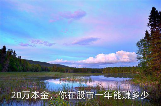 20萬本金，你在股市一年能賺多少