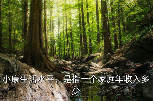 小康生活水平，是指一個(gè)家庭年收入多少
