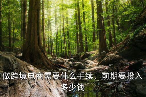 做跨境電商需要什么手續(xù)，前期要投入多少錢