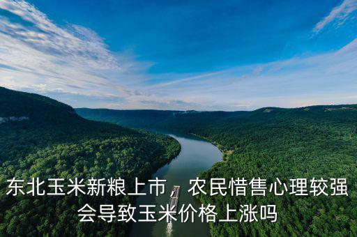 東北玉米新糧上市，農(nóng)民惜售心理較強(qiáng)會(huì)導(dǎo)致玉米價(jià)格上漲嗎