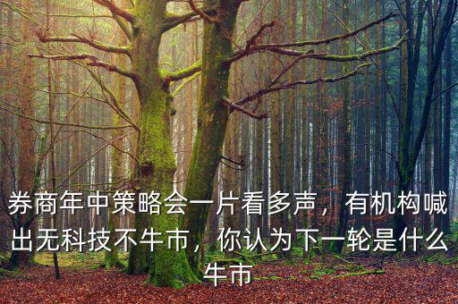 券商年中策略會一片看多聲，有機(jī)構(gòu)喊出無科技不牛市，你認(rèn)為下一輪是什么牛市