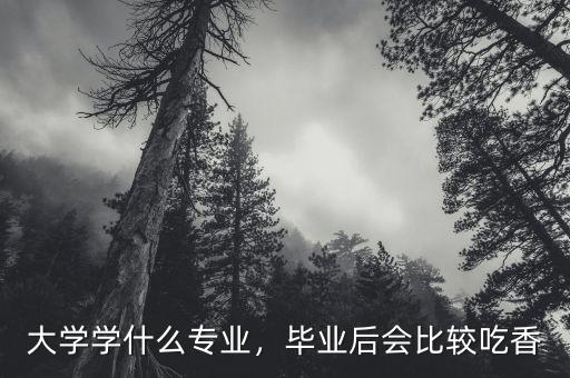 大學(xué)讀什么專(zhuān)業(yè)最賺錢(qián),什么專(zhuān)業(yè)前景比較好