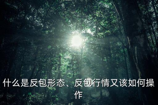 什么是反包形態(tài)、反包行情又該如何操作