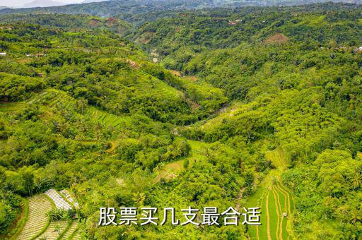 散戶(hù)買(mǎi)什么股票好些,買(mǎi)幾只股票好
