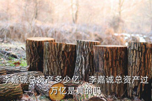 李嘉誠總資產(chǎn)多少億，李嘉誠總資產(chǎn)過萬億是真的嗎