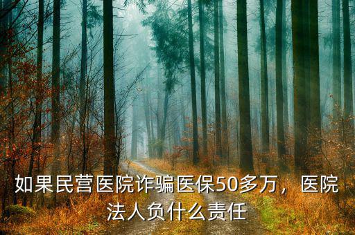 如果民營醫(yī)院詐騙醫(yī)保50多萬，醫(yī)院法人負(fù)什么責(zé)任