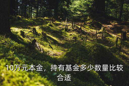 買(mǎi)基金多少合適,持有基金多少數(shù)量比較合適