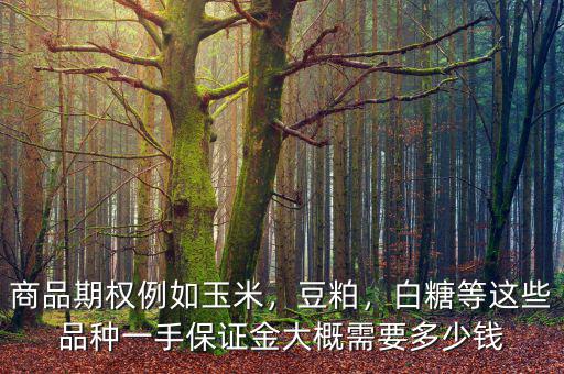 商品期權(quán)例如玉米，豆粕，白糖等這些品種一手保證金大概需要多少錢(qián)