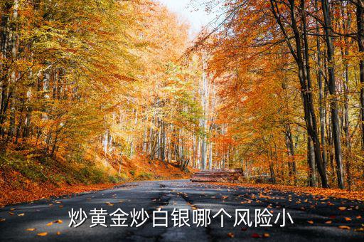 炒黃金炒白銀哪個風(fēng)險小