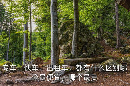 專(zhuān)車(chē)、快車(chē)、出租車(chē)，都有什么區(qū)別哪個(gè)最便宜，哪個(gè)最貴