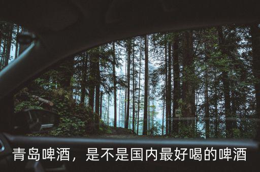 青島啤酒，是不是國(guó)內(nèi)最好喝的啤酒