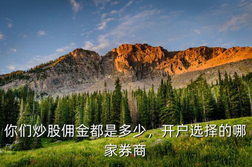 你們炒股傭金都是多少，開(kāi)戶選擇的哪家券商