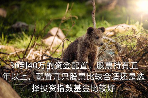 30到40萬的資金配置，股票持有五年以上，配置幾只股票比較合適還是選擇投資指數(shù)基金比較好
