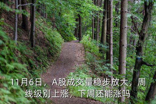 11月6日，A股成交量穩(wěn)步放大，周線級別上漲，下周還能漲嗎