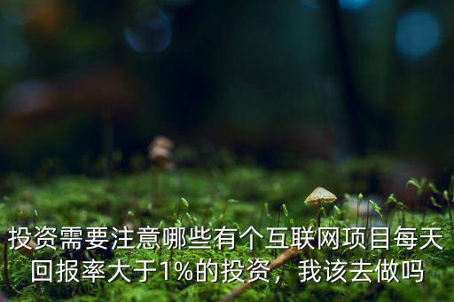 投資需要注意哪些有個(gè)互聯(lián)網(wǎng)項(xiàng)目每天回報(bào)率大于1%的投資，我該去做嗎