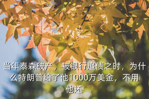 當(dāng)年泰森破產(chǎn)，被銀行追債之時(shí)，為什么特朗普給了他1000萬(wàn)美金，不用他還