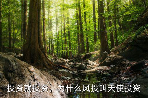 投資就投資，為什么風(fēng)投叫天使投資