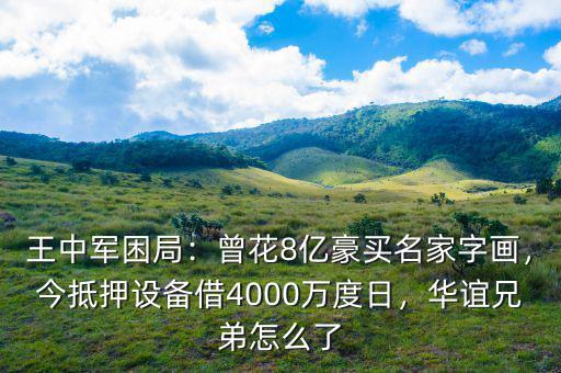 王中軍困局：曾花8億豪買名家字畫，今抵押設(shè)備借4000萬度日，華誼兄弟怎么了