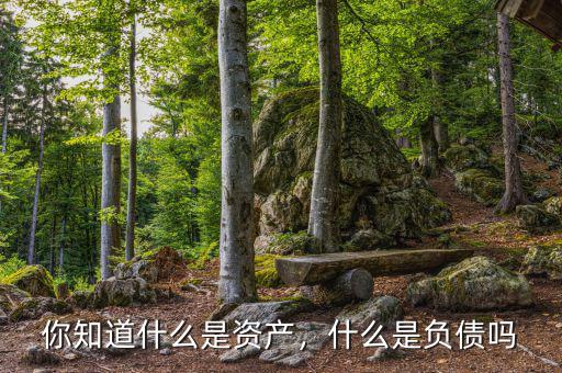 你知道什么是資產(chǎn)，什么是負(fù)債嗎