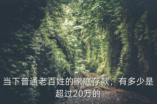 當(dāng)下普通老百姓的家庭存款，有多少是超過(guò)20萬(wàn)的