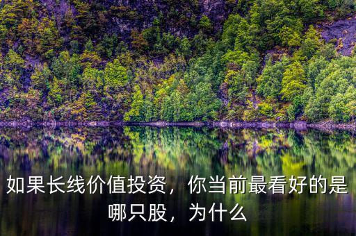 如果長線價值投資，你當前最看好的是哪只股，為什么